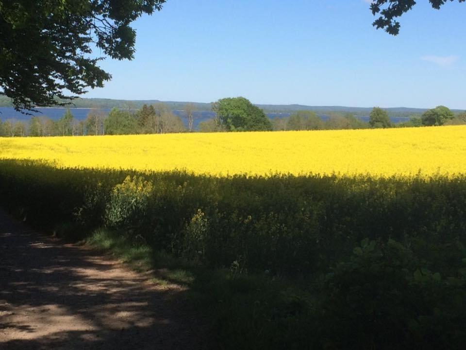 Ekeborg Villa Hoor Bagian luar foto